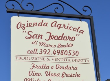 Azienda Agricola San Teodoro